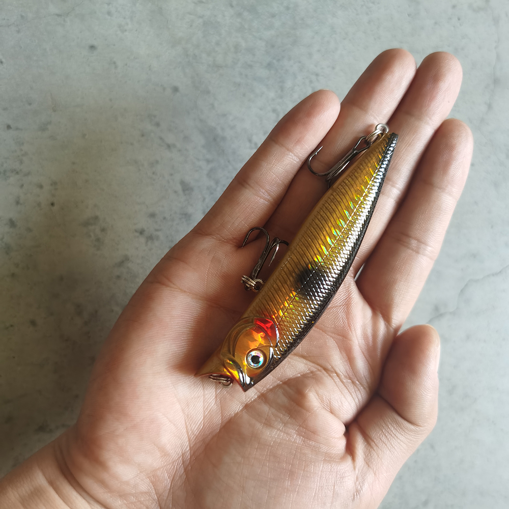 1pcs Fishing Lures High Qualit - Fishing Lure Topwater recensie en prijs