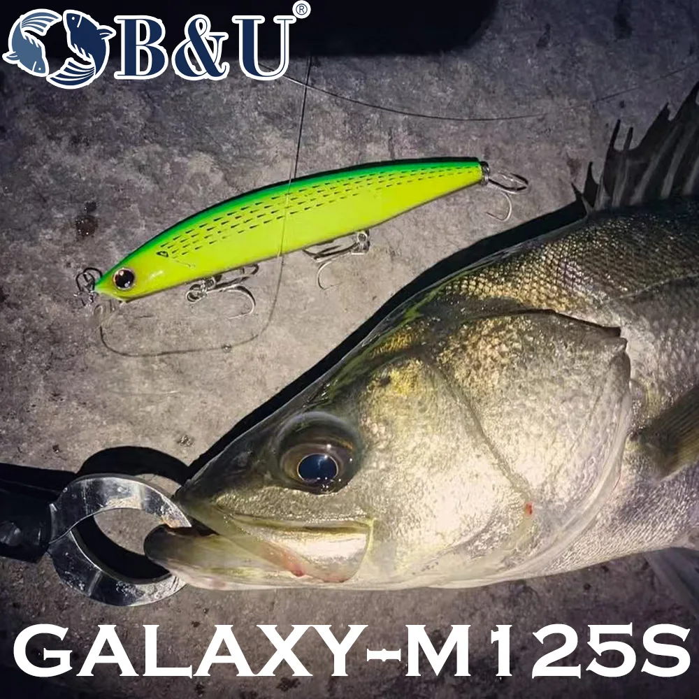 B&U 125mm Sinking Minnow Sea F - Fishing Lure Jerkbait recensie en prijs